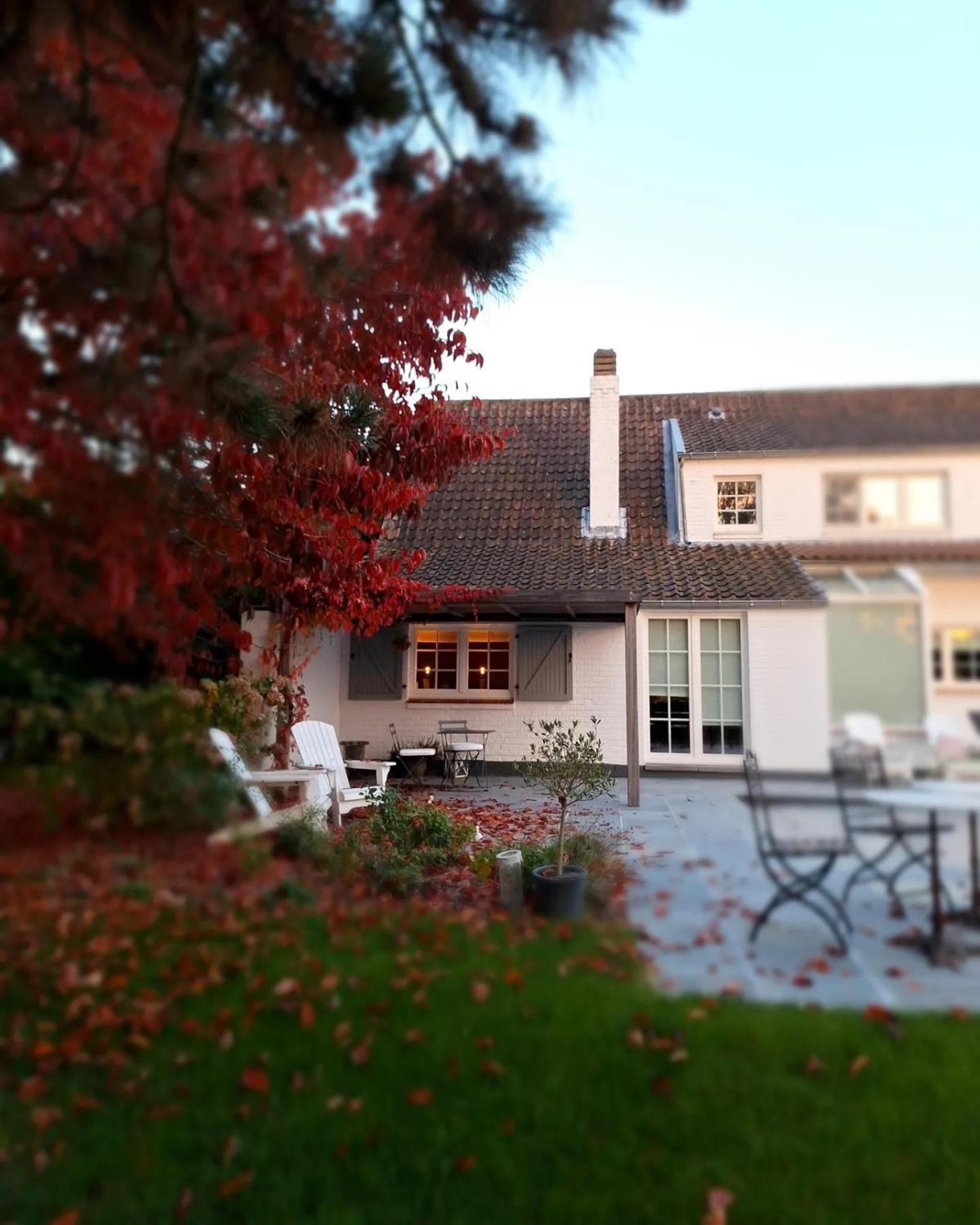 Chambres D'Hotes - Au Clos D'Amande Lasne Exterior foto